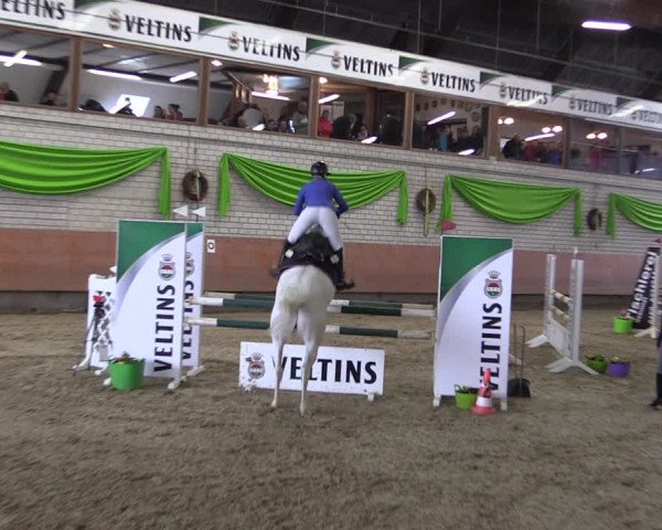 Reitturnier Hellefeld 2019