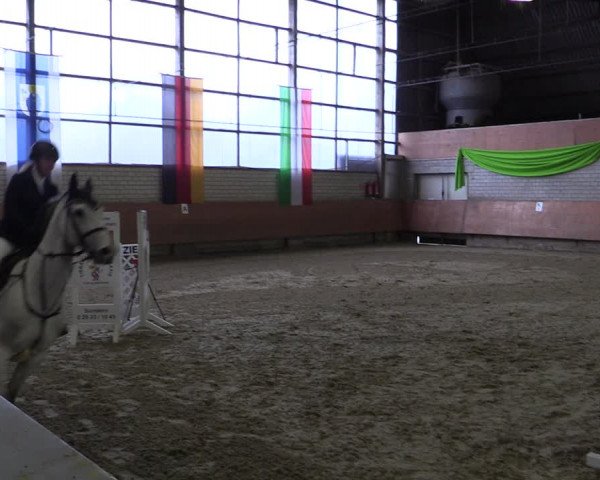 Reitturnier Hellefeld 2019