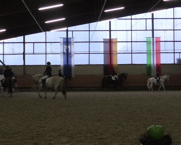 Reitturnier Hellefeld 2019