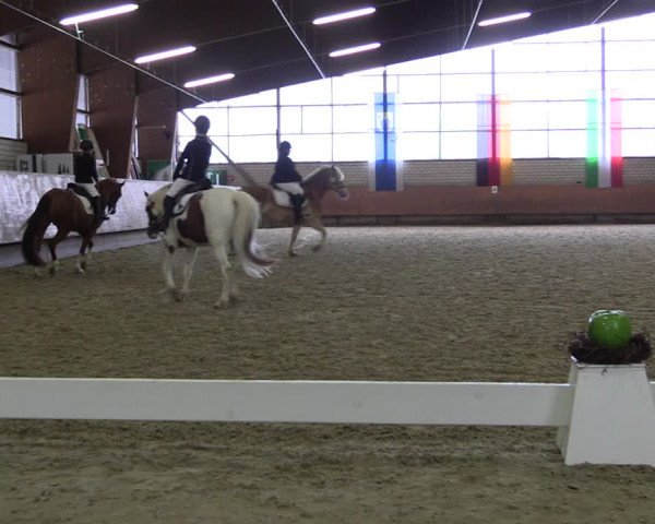Reitturnier Hellefeld 2019