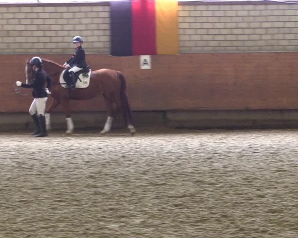 Reitturnier Hellefeld 2019