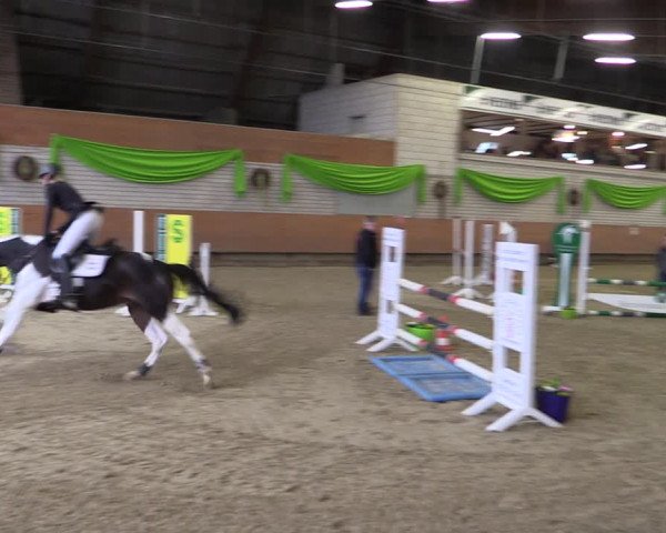 Reitturnier Hellefeld 2019