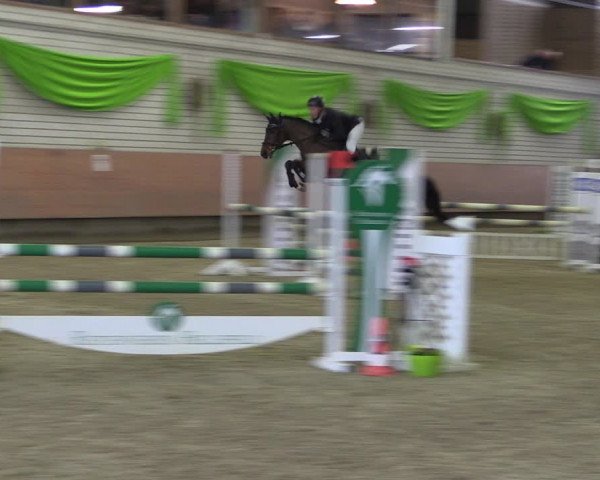 Reitturnier Hellefeld 2019
