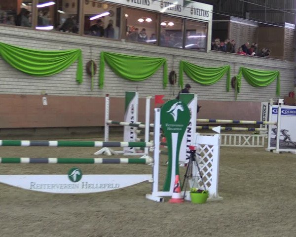 Reitturnier Hellefeld 2019