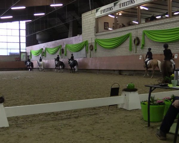 Reitturnier Hellefeld 2019