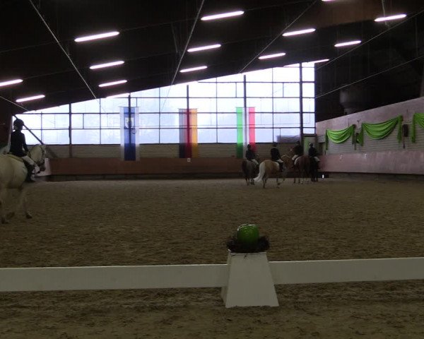 Reitturnier Hellefeld 2019