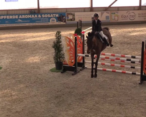 Nordic Jumping events 2019
