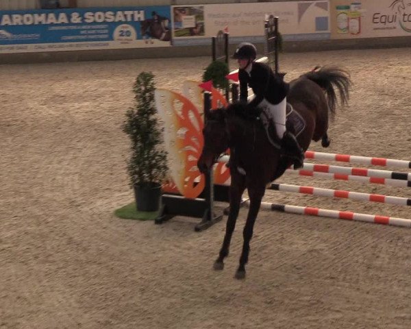 Nordic Jumping events 2019
