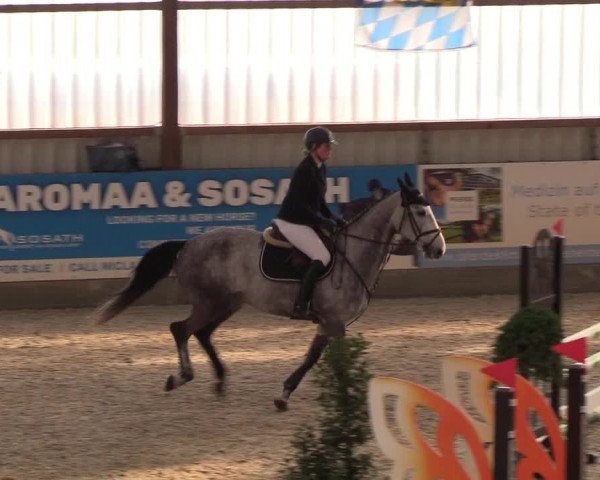 Nordic Jumping events 2019