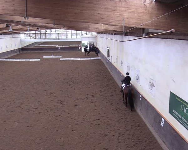Reitturnier Dallgow 2019