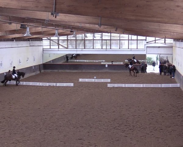 Reitturnier Dallgow 2019