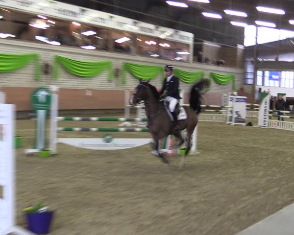 Reitturnier Hellefeld 2019