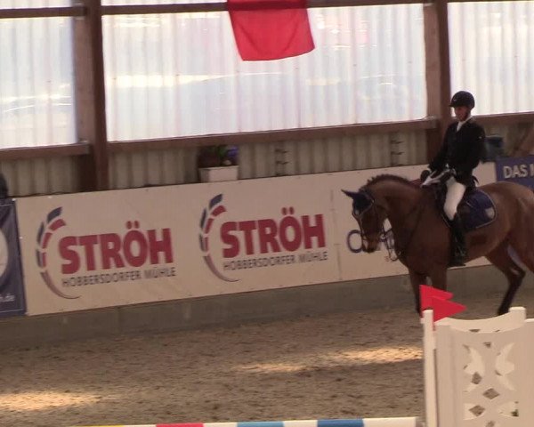 Nordic Jumping events 2019