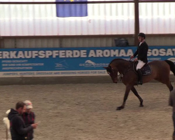 Nordic Jumping events 2019