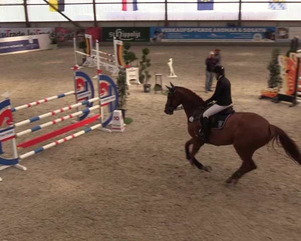 Nordic Jumping events 2019