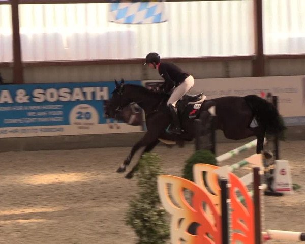 Nordic Jumping events 2019