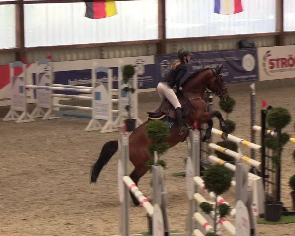 Nordic Jumping events 2019