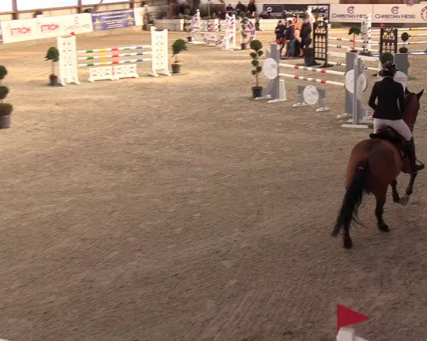 Nordic Jumping events 2019