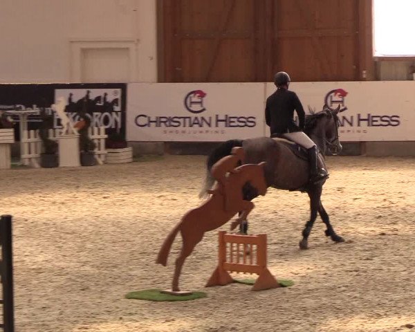 Nordic Jumping events 2019