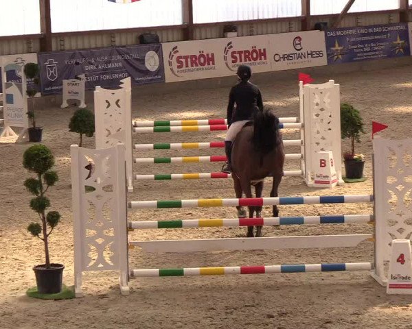 Nordic Jumping events 2019