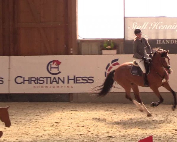 Nordic Jumping events 2019