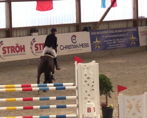 Nordic Jumping events 2019