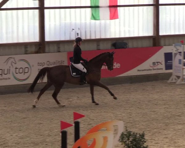 Nordic Jumping events 2019