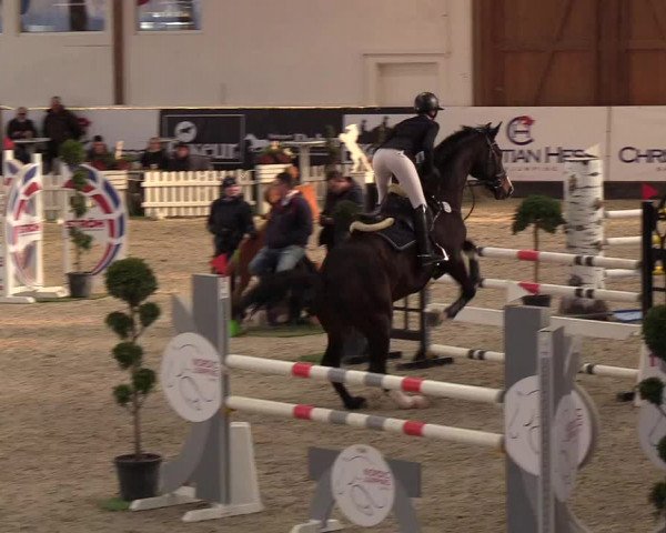 Nordic Jumping events 2019