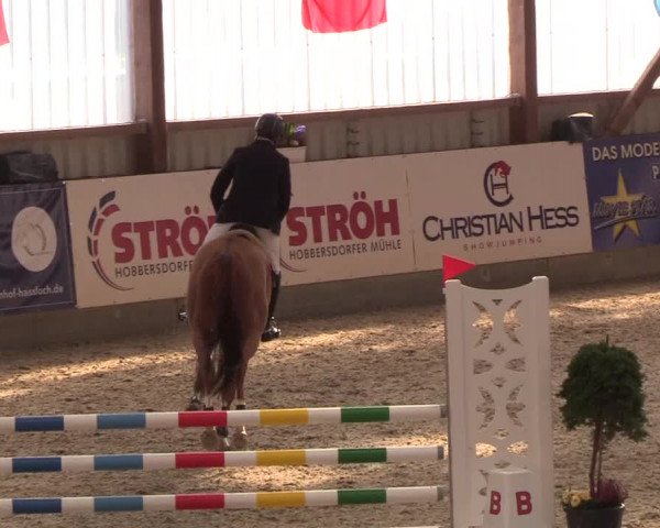 Nordic Jumping events 2019