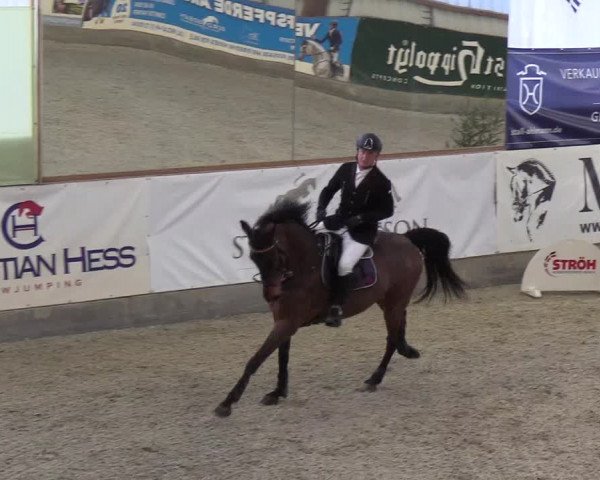 Nordic Jumping events 2019
