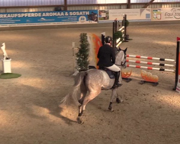 Nordic Jumping events 2019