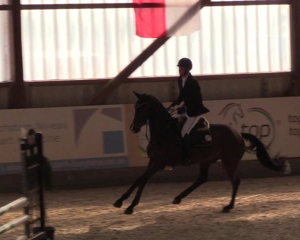 Nordic Jumping events 2019