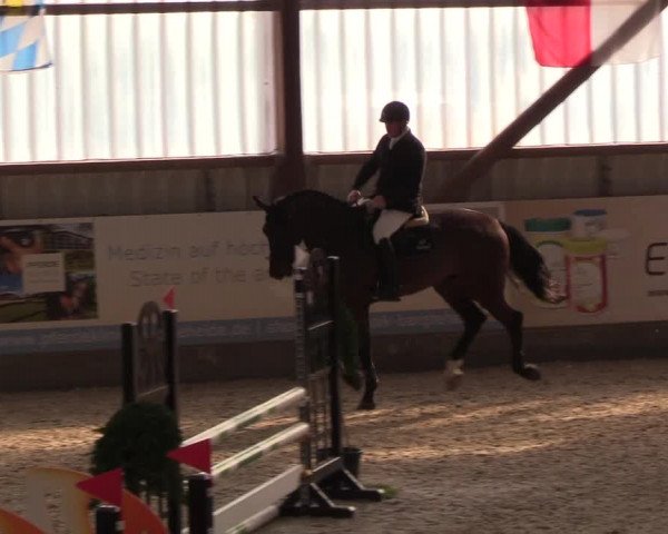 Nordic Jumping events 2019