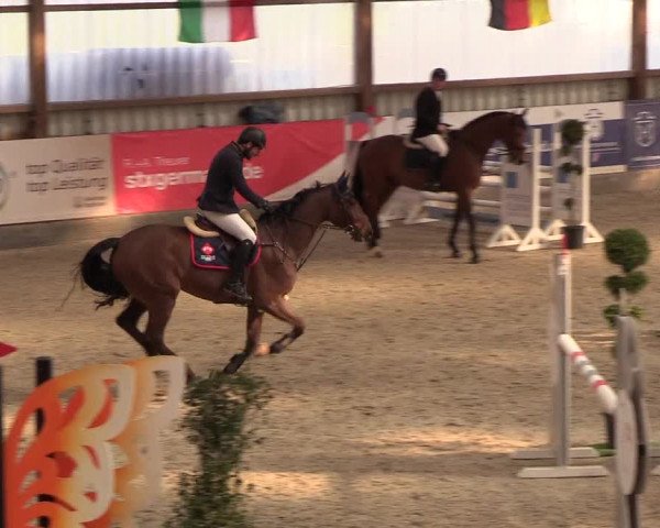 Nordic Jumping events 2019