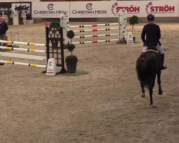 Nordic Jumping events 2019
