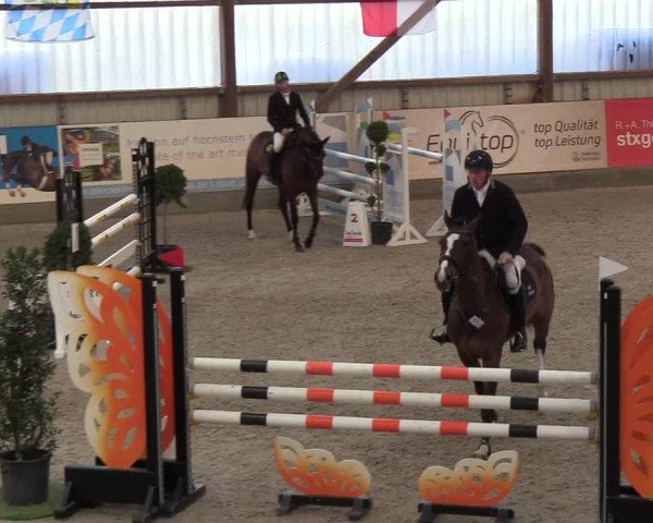 Nordic Jumping events 2019