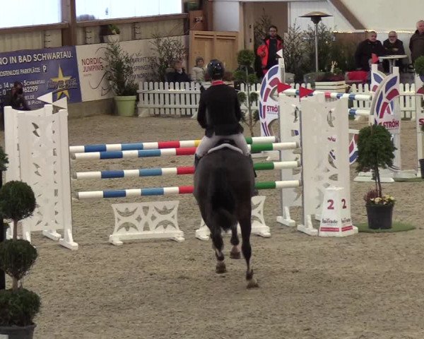 Nordic Jumping events 2019