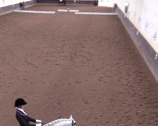 Reitturnier Dallgow 2019