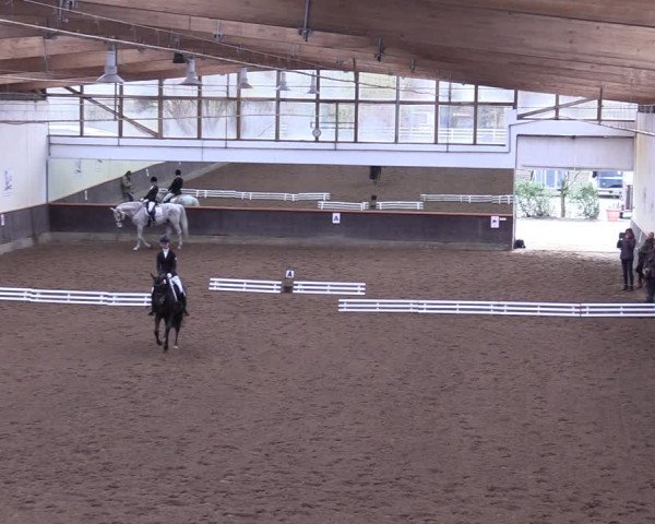 Reitturnier Dallgow 2019