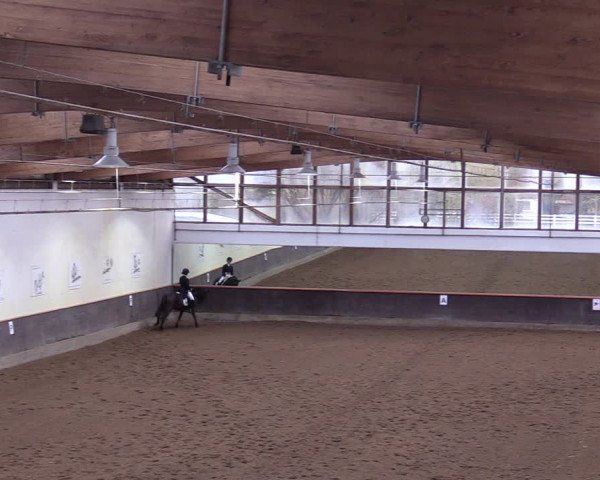 Reitturnier Dallgow 2019