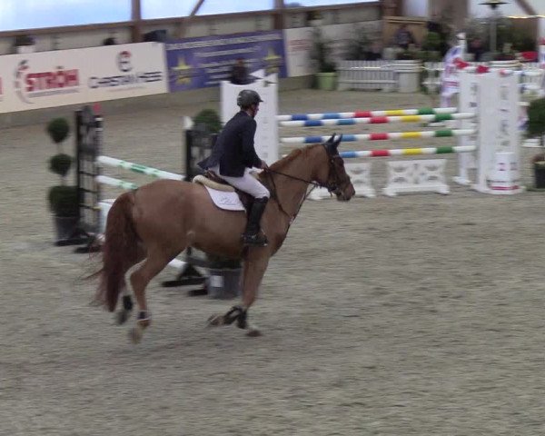 Nordic Jumping events 2019