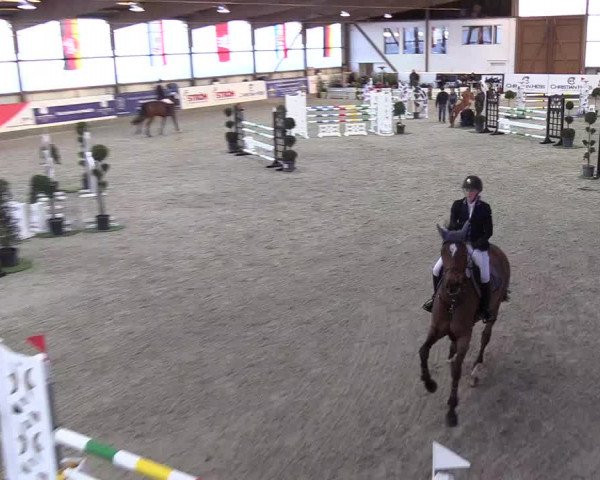 Nordic Jumping events 2019