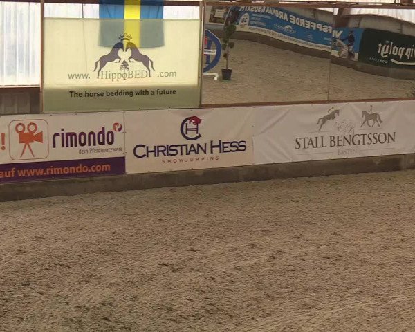 Nordic Jumping events 2019