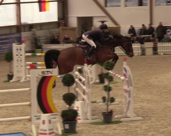 Nordic Jumping events 2019