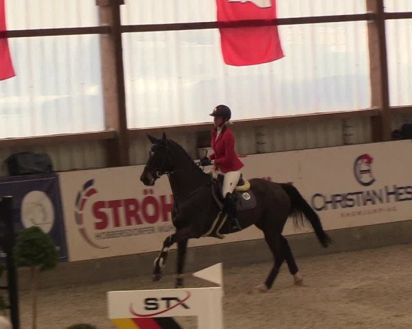 Nordic Jumping events 2019