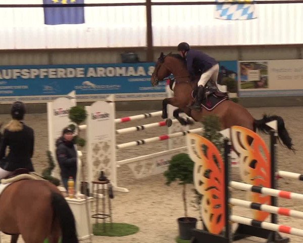 Nordic Jumping events 2019