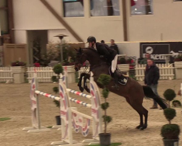 Nordic Jumping events 2019