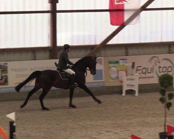 Nordic Jumping events 2019