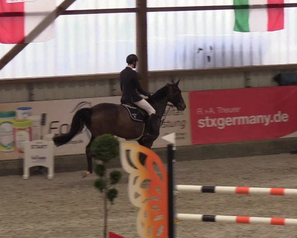 Nordic Jumping events 2019