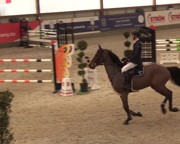 Nordic Jumping events 2019